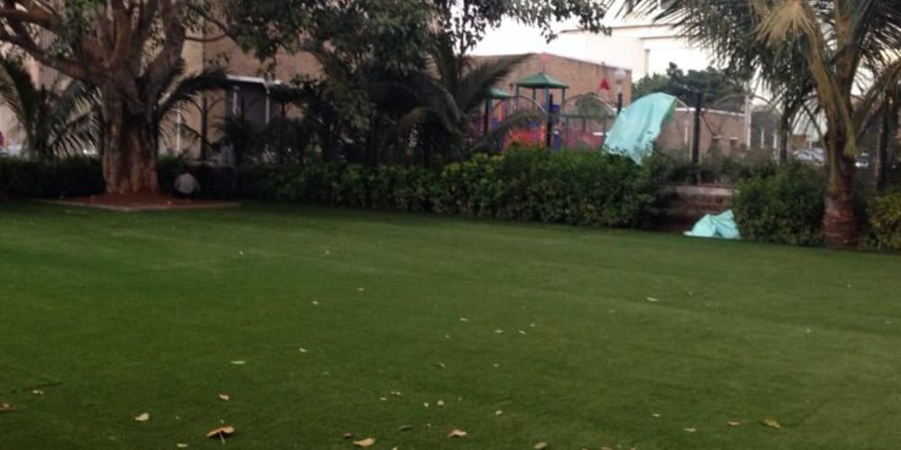 Artificial Grass / Turf