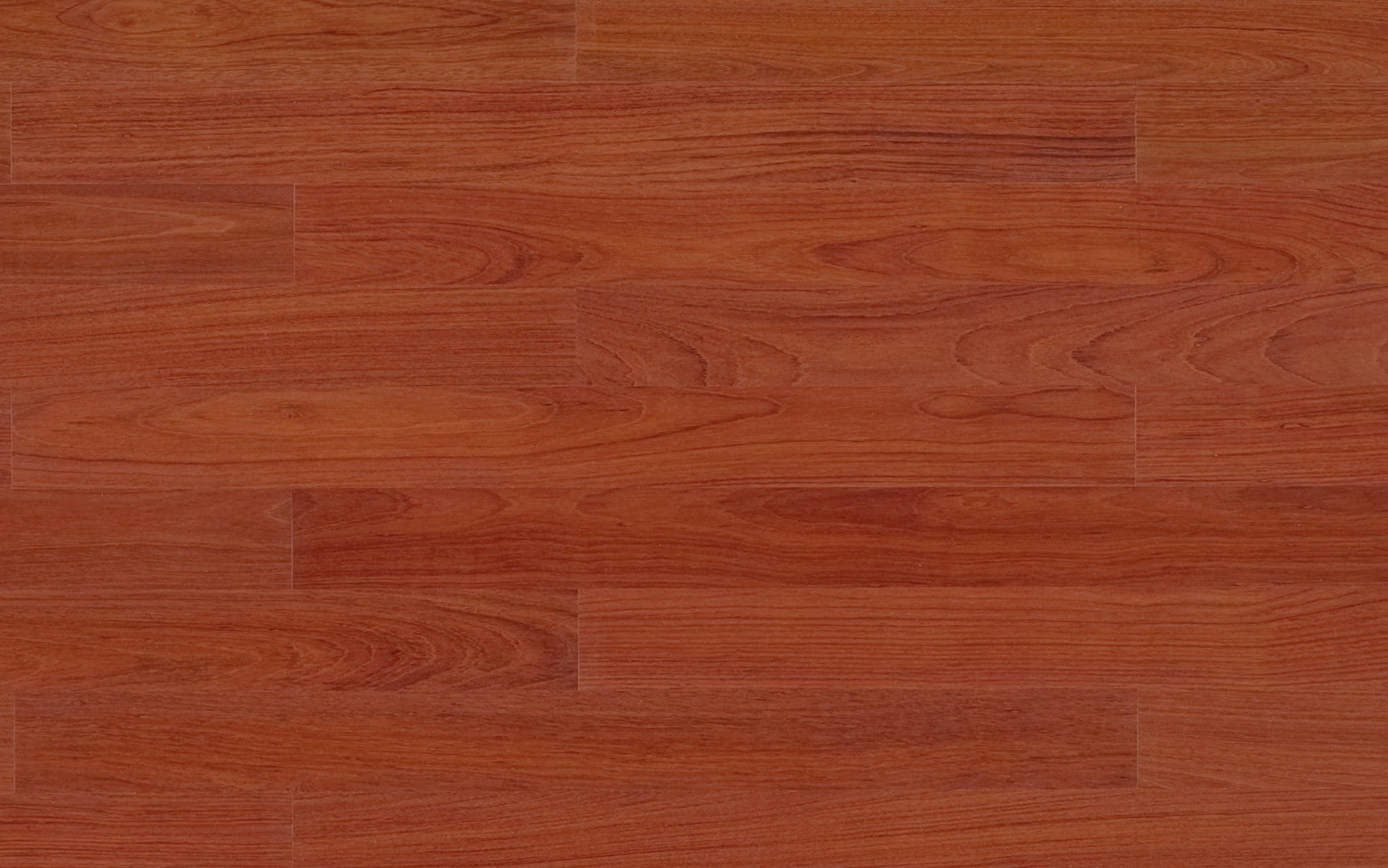 Jatoba