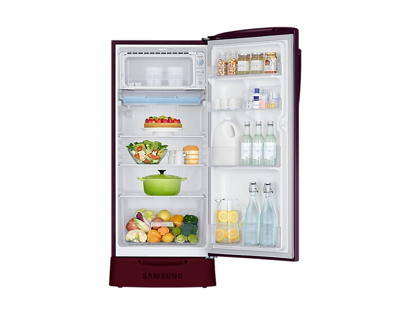 1 Door with Tempered Glass Shelf, 212 L-RR21J2835RZ