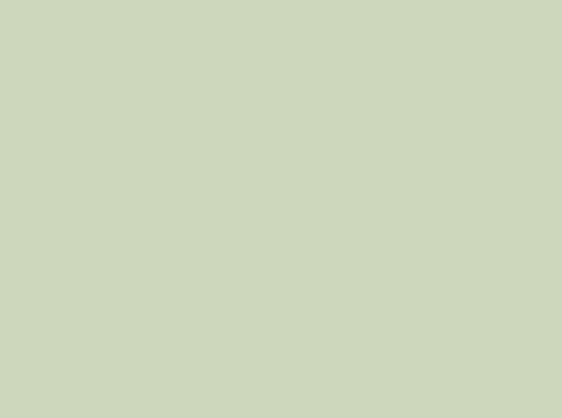 132 UMT Willow Green Virgo Croma 8 ft x 4 ft Ultra Matte Finish Decorative Laminate - 1 mm