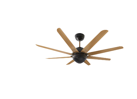 Octet 1320 mm sweep Walnut Black Nickel