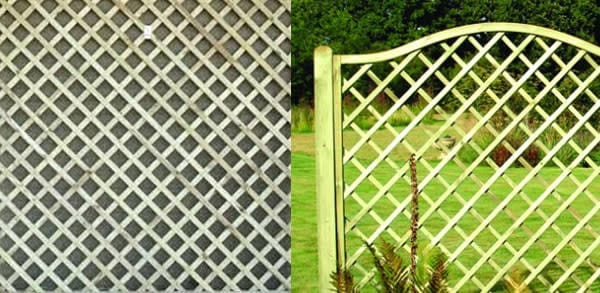 Lattice Trellis