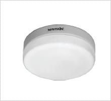 Ceiling Light Fixture