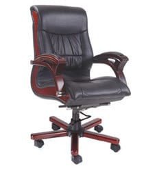 Director Chairs-208