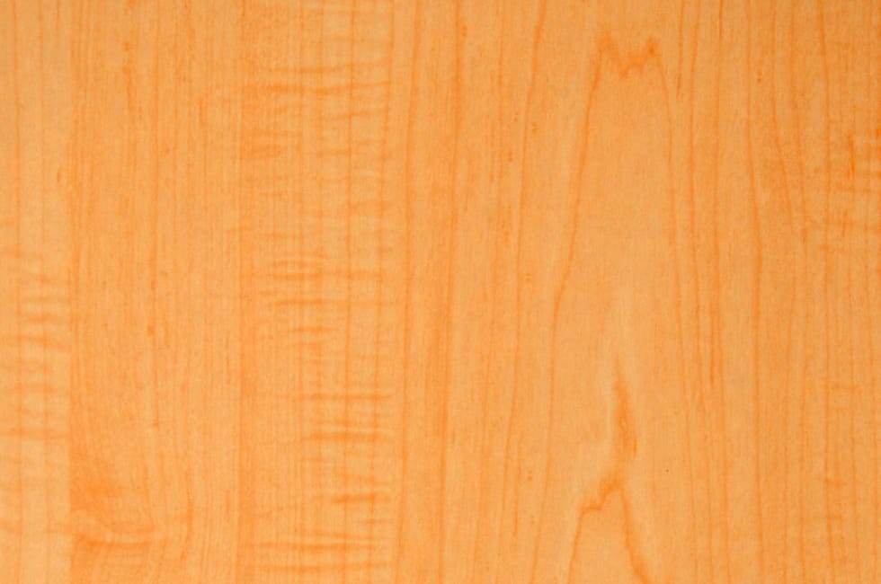Albreta Maple - 7305