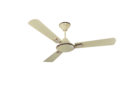 Festiva 1200 mm sweep Pearl Ivory-Gold