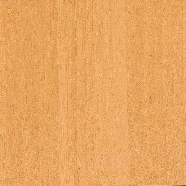  948 CF - Palm Beech